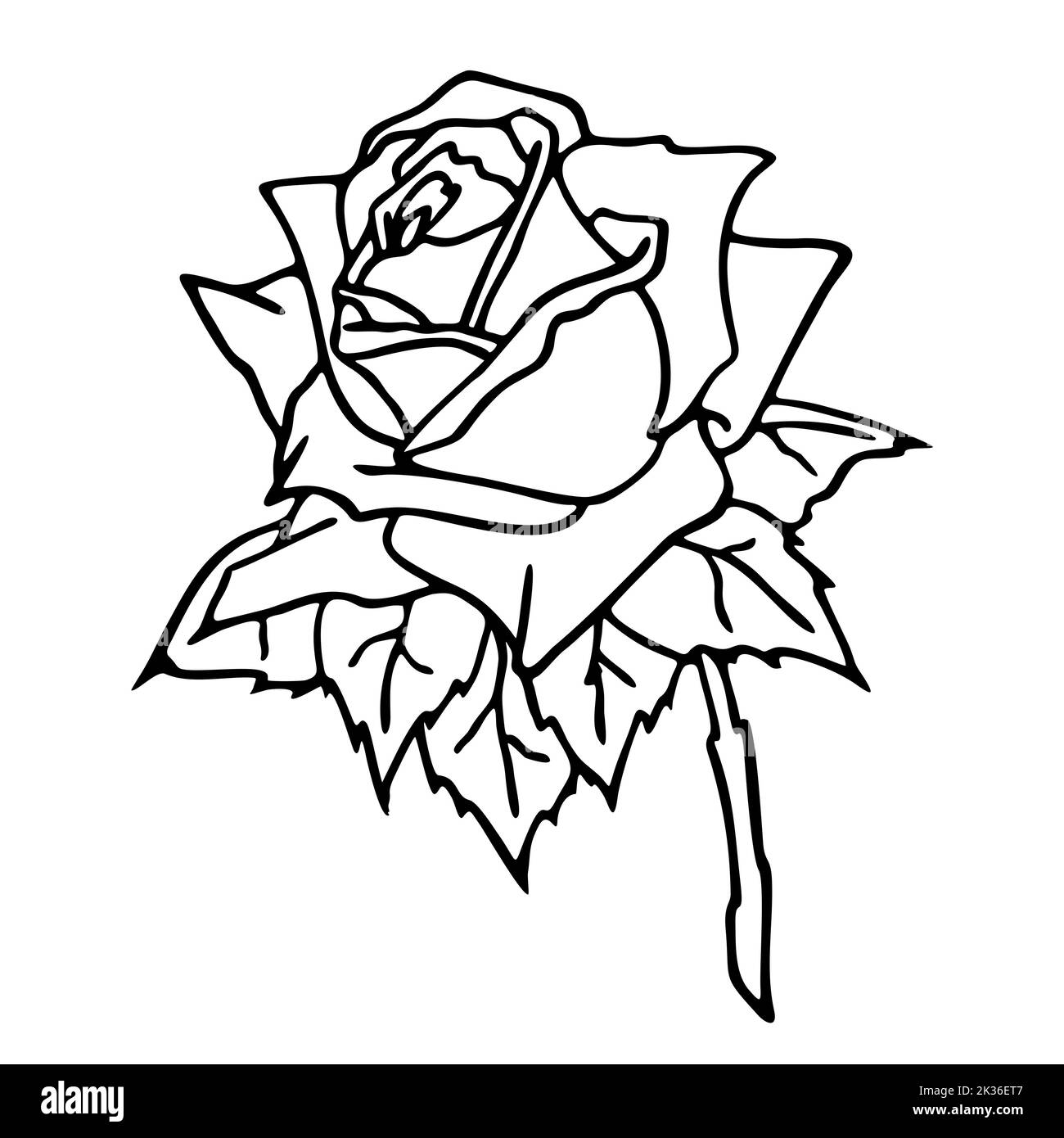 Bild eines schwarzen Umrisses einer Blume auf weißem Hintergrund Nahaufnahme, Kunst, Design Stockfoto