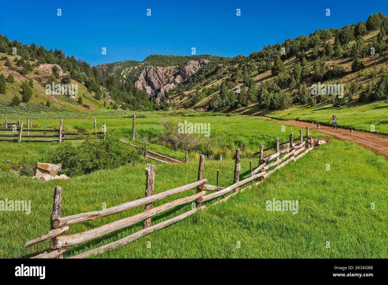 Rees Valley, Reddick Canyon in der Ferne, Chicken Creek Road, FR 101, San Pitch Mountains, Uinta National Forest, Utah, USA Stockfoto