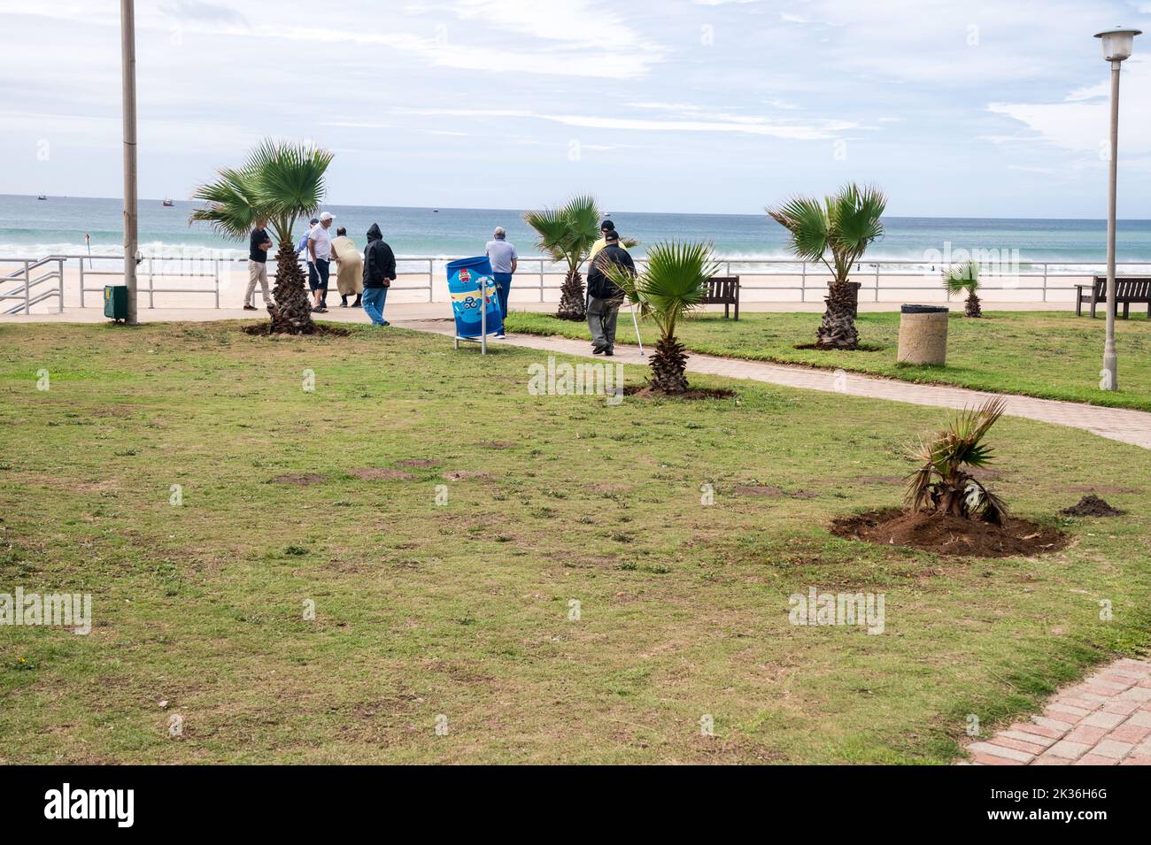 Strandpromenade entlang des parkway, der zum Meer führt, mit dem Ozean im Hintergrund und wachsenden kurzen Palmen Stockfoto