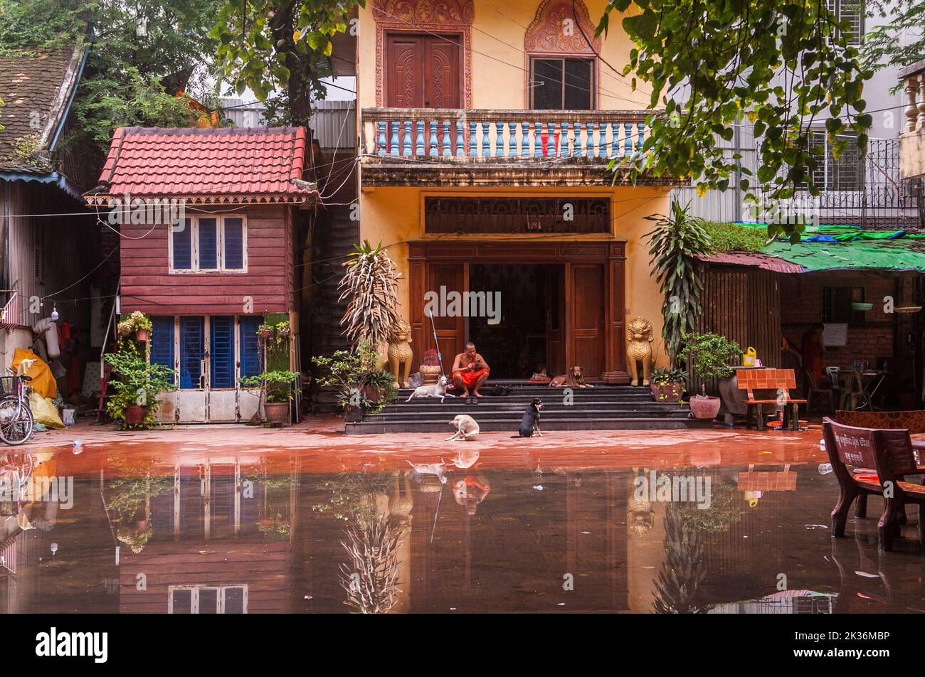 Hunde entkommen der Flut, während ein buddhistischer Mönch seine Zeit vergeht und während des Pchum Ben Festivals ein Smartphone beobachtet. Nonmony Pagode, Stueng Meanchey, Phnom Penh, Kambodscha. 25.. September 2022. © Kraig Lieb Stockfoto