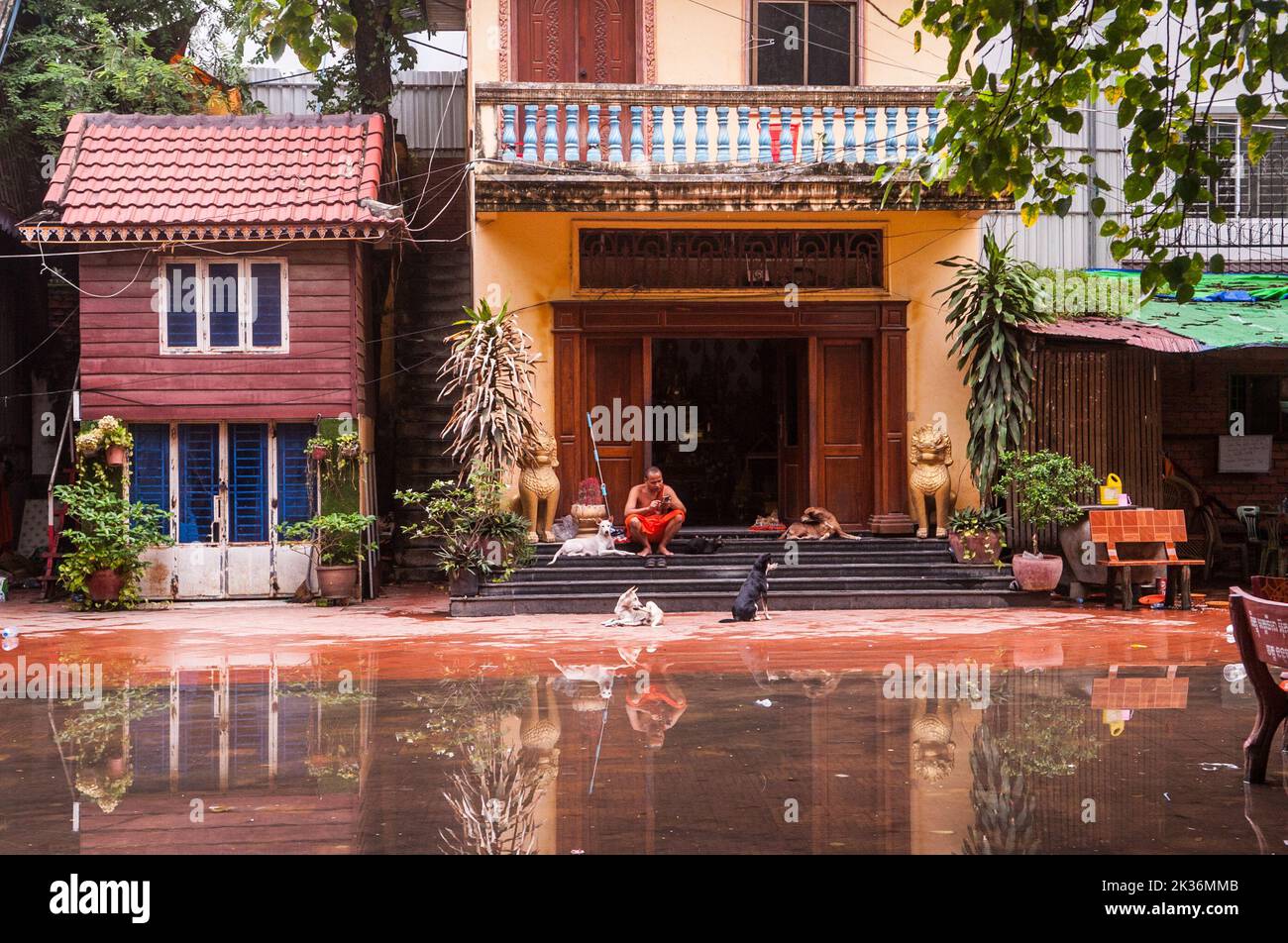 Hunde entkommen der Flut, während ein buddhistischer Mönch seine Zeit vergeht und während des Pchum Ben Festivals ein Smartphone beobachtet. Nonmony Pagode, Stueng Meanchey, Phnom Penh, Kambodscha. 25.. September 2022. © Kraig Lieb Stockfoto