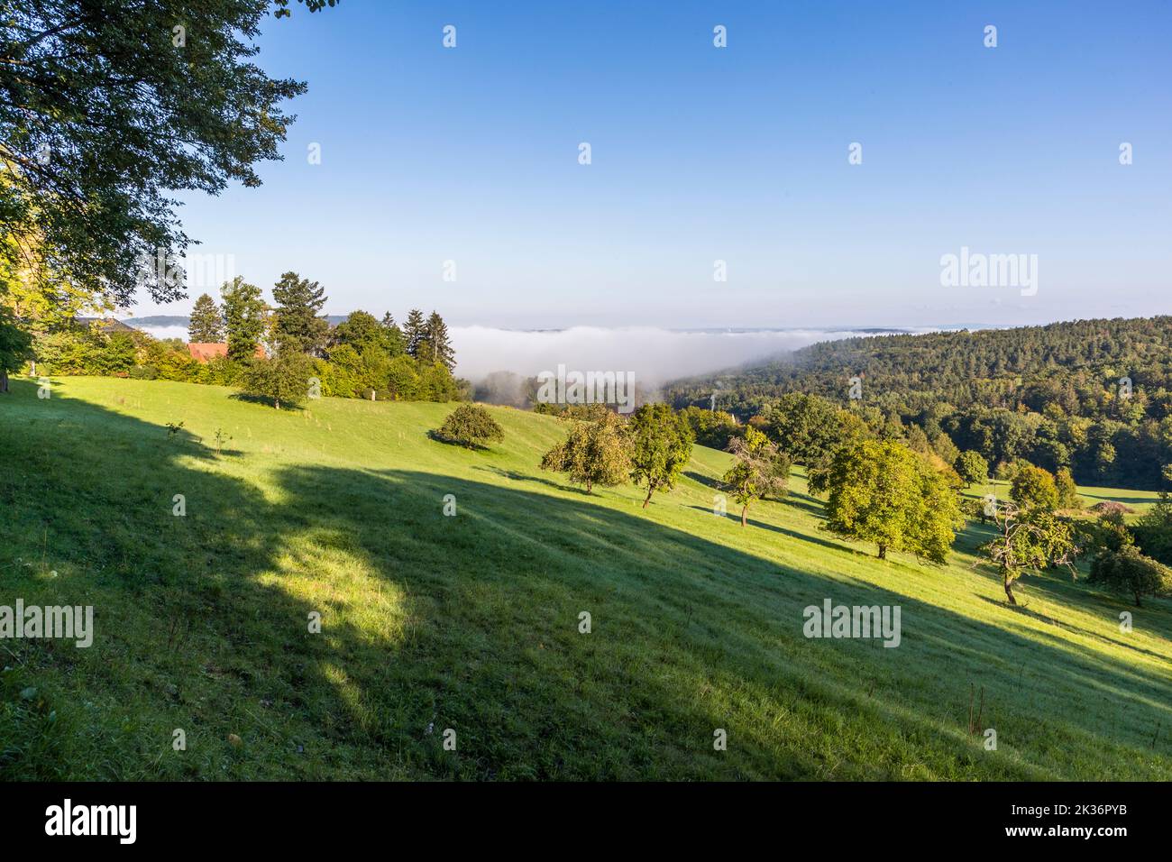 Vierzehnheiligen basilika Fotos und Bildmaterial in hoher Auflösung