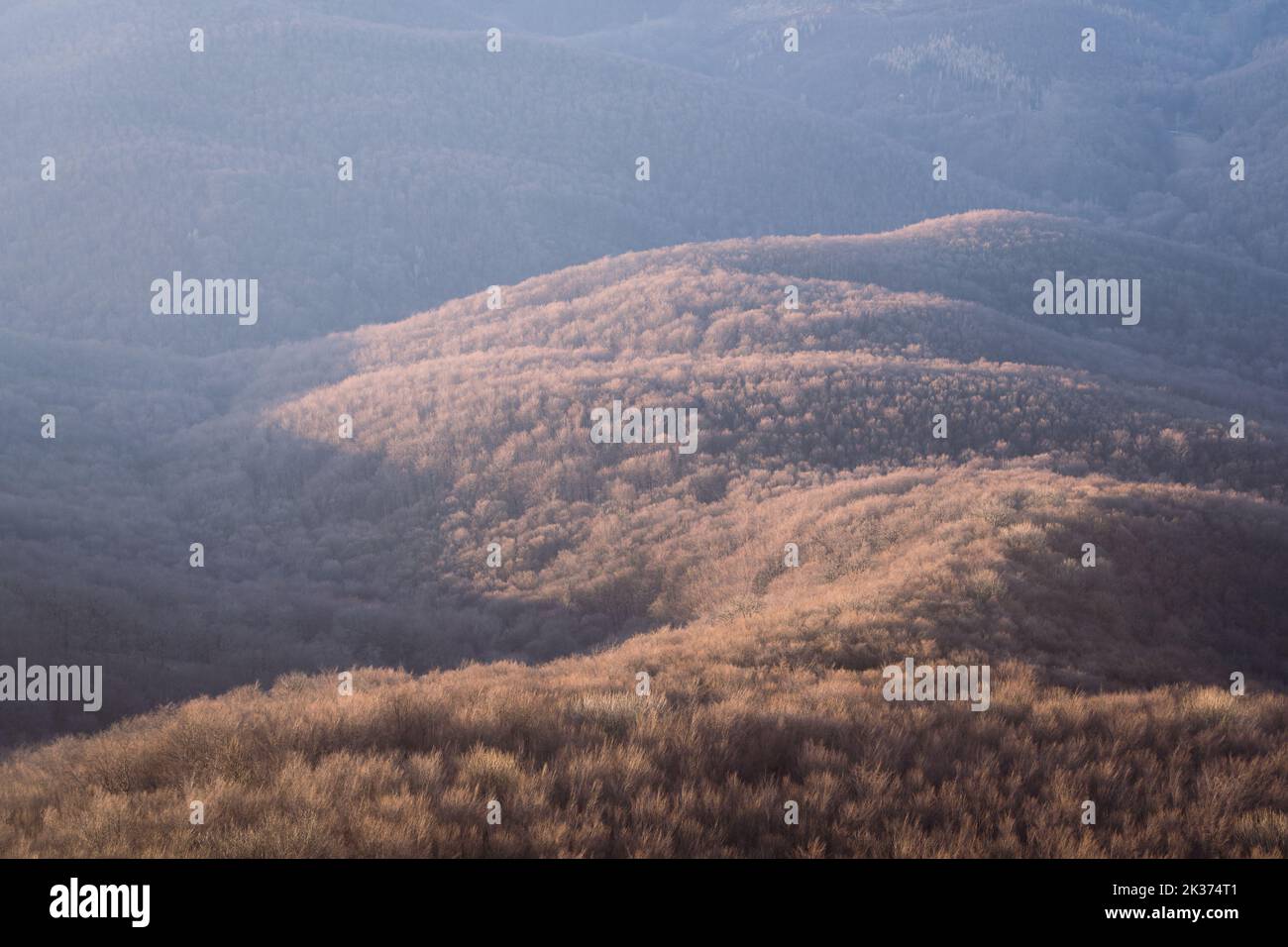 Herbstfarbener Wald fängt das erste Licht bei Sonnenaufgang, Europa, Slowakei Stockfoto