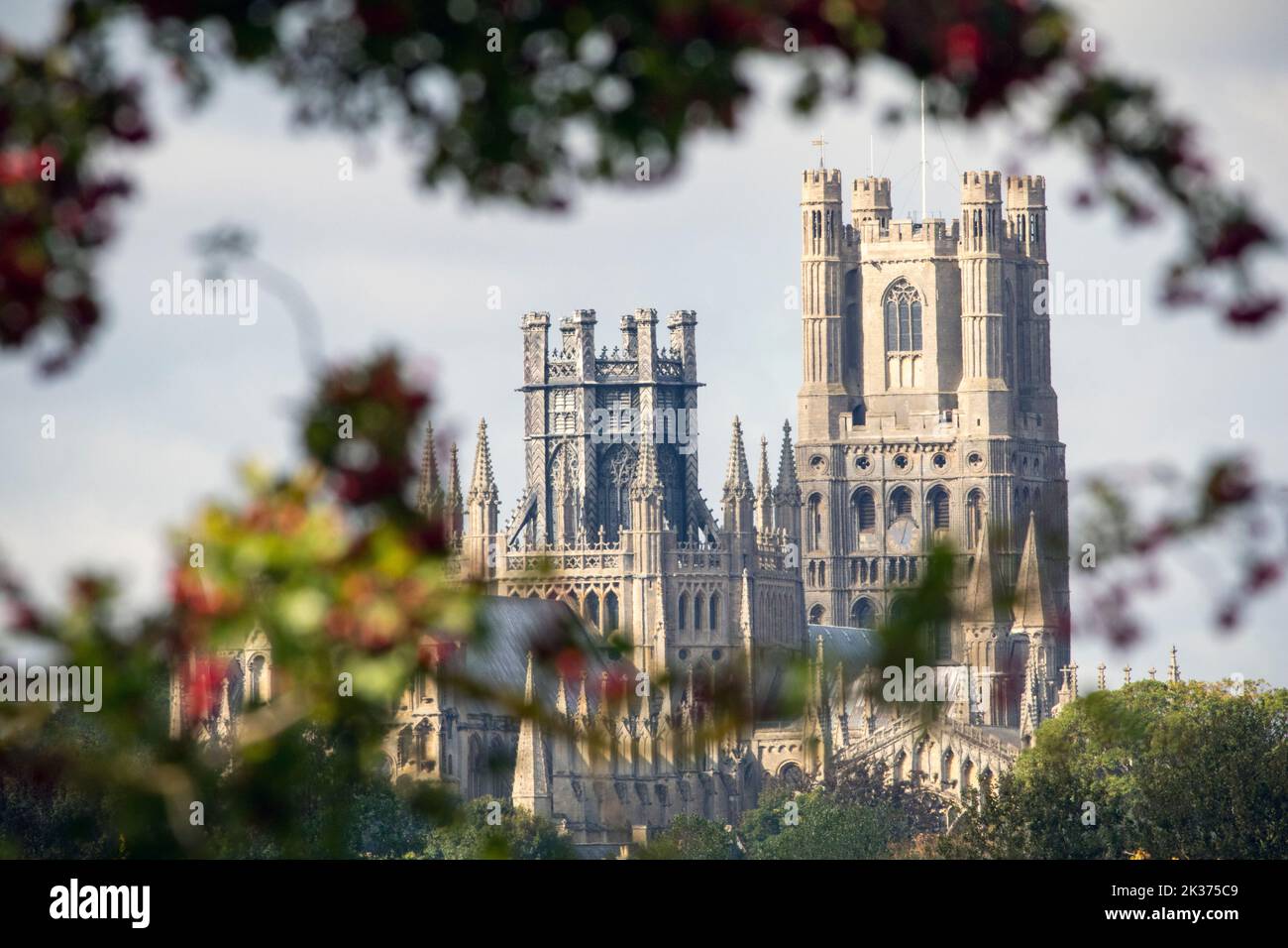 ely Cathedral, eingerahmt von Blättern, aufgenommen vom Riverside im Ely Countrypark 24.. September 2022 Stockfoto