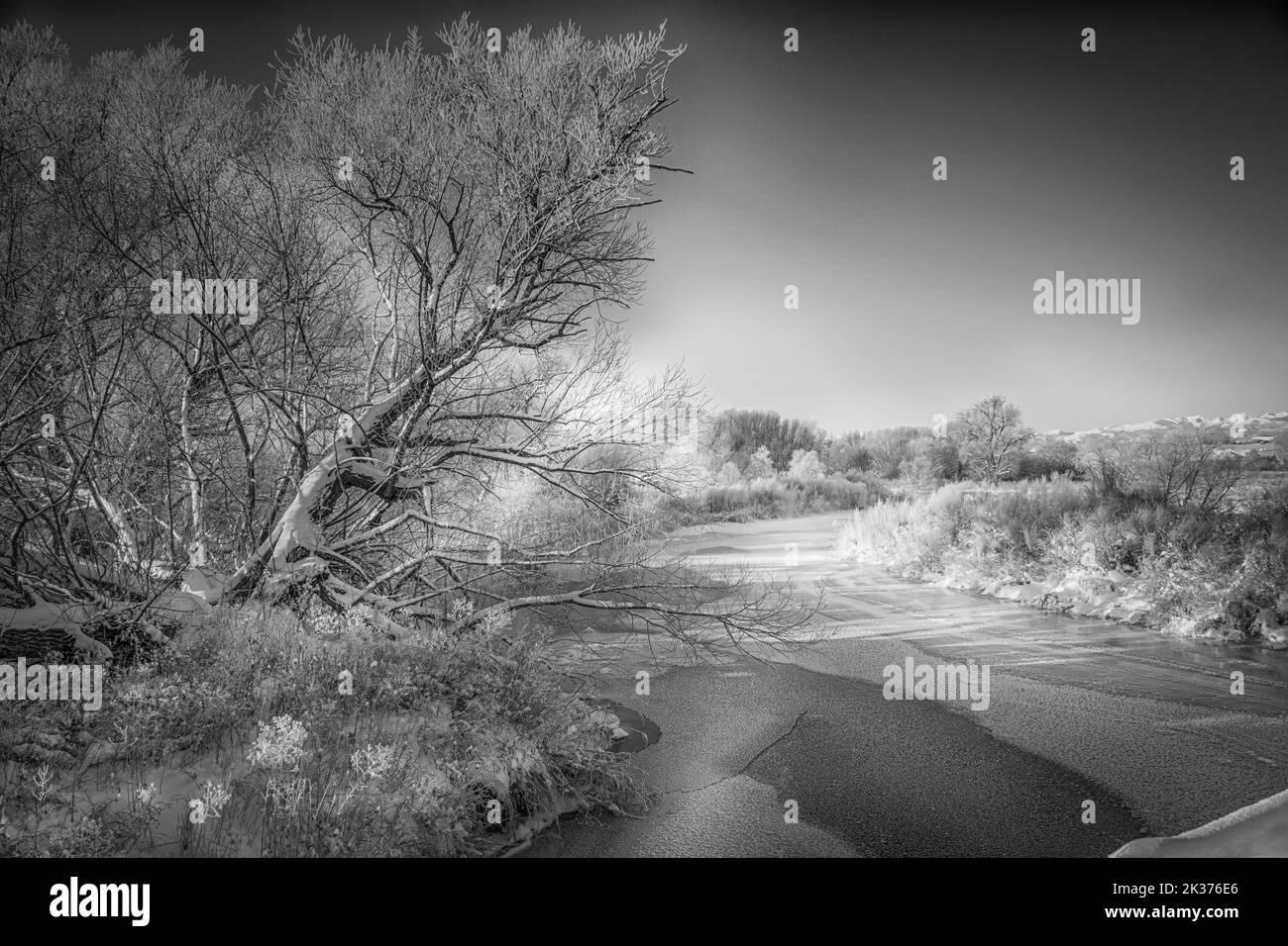 Colorado Schwarz-Weiß-Landschaft Stockfoto