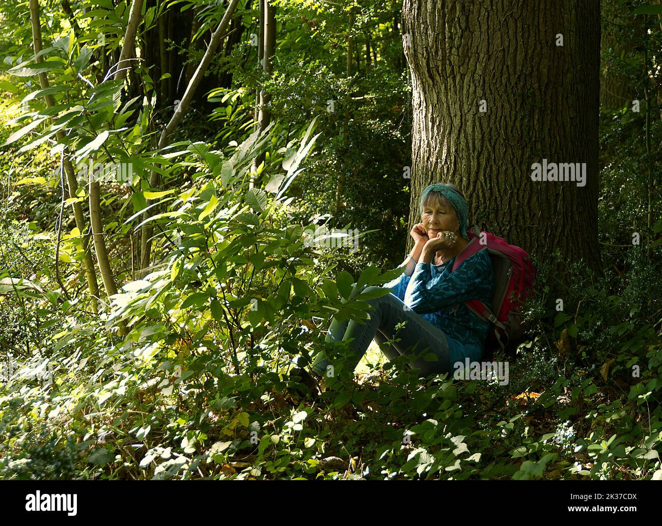 Frau in den Wäldern und Wald entspannend und Waldbaden Stockfoto