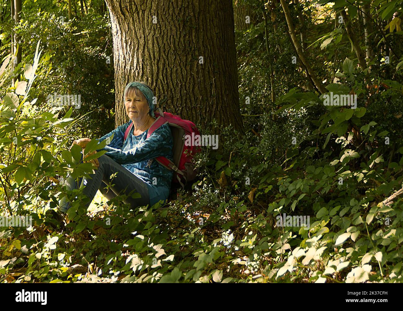 Frau in den Wäldern und Wald entspannend und Waldbaden Stockfoto
