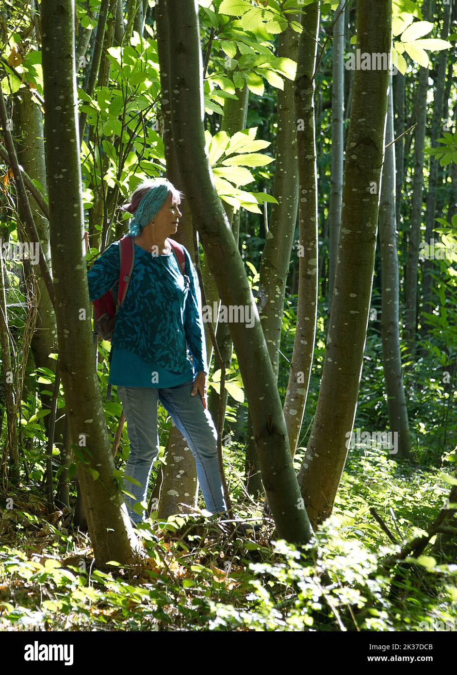 Frau in den Wäldern und Wald entspannend und Waldbaden Stockfoto