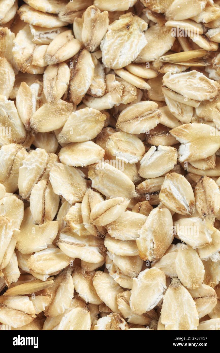 Nahaufnahme eines dicken Haferwalzens, selektiver Fokus. Stockfoto