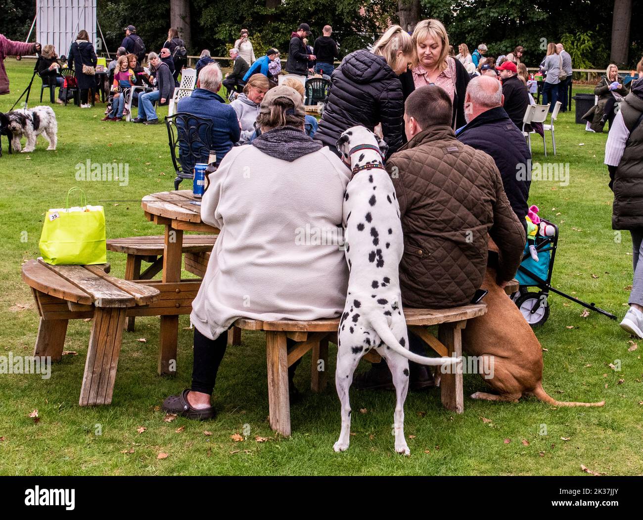 Follimoot, in der Nähe von Harrogate, North Yorkshire, 25.. September 2022. Das Follifoot Dog Festival, bei dem Hundefreunde heute ihre geliebten Haustiere zeigen konnten. Bildquelle: ernesto rogata/Alamy Live News Stockfoto