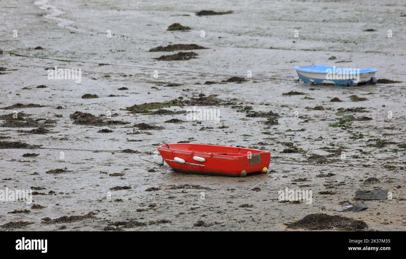 Bei Ebbe in der Bretagne auf dem schlammigen Grund des Meeres gestrandete Boote Stockfoto