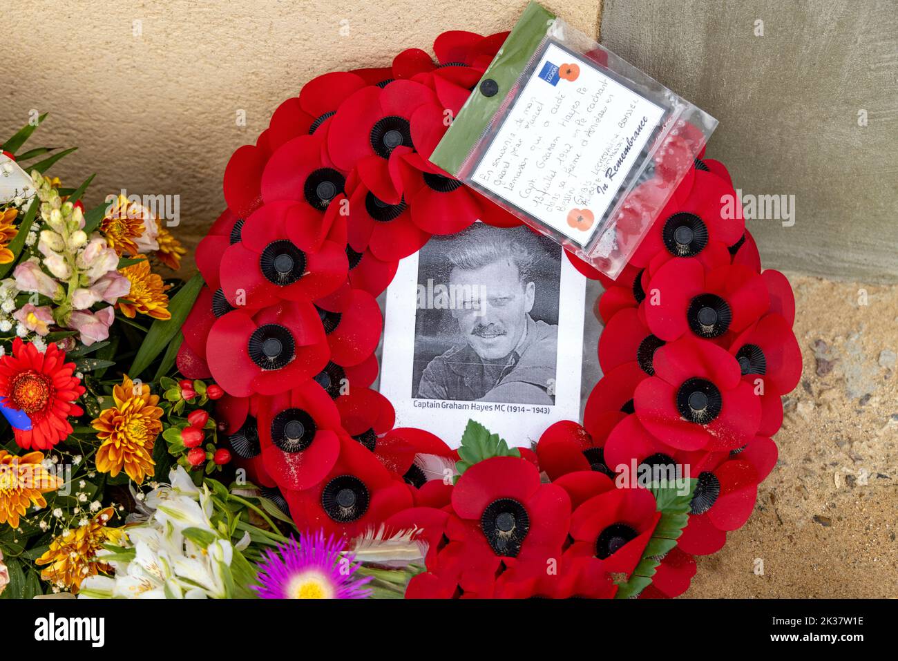 Kranz mit Bild von Kapitän Graham Hayes an der Gedenkstätte der Operation Aquatint, Vierville-sur-Mer, Calvados, Normandie, Frankreich. Stockfoto