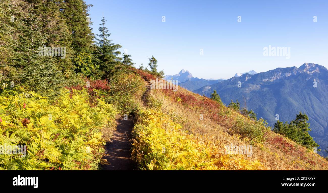 Kanadische Landschaft mit Herbstfarben an sonnigen Tagen. Elk Mountain Stockfoto