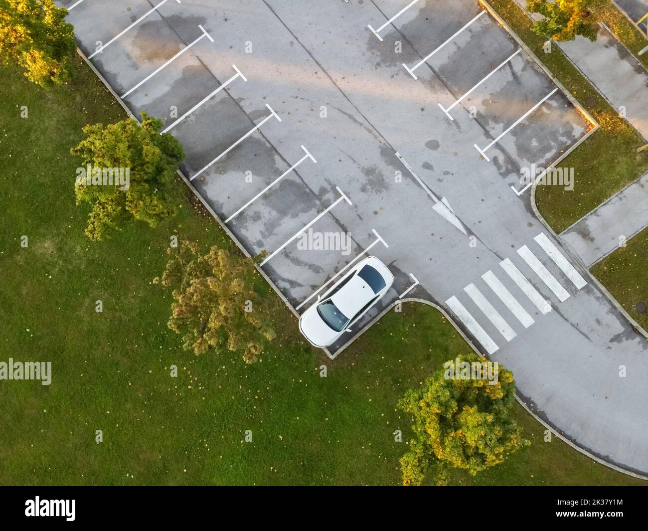 Parkplatz mit einem Auto und gelben Herbstbäumen Stockfoto