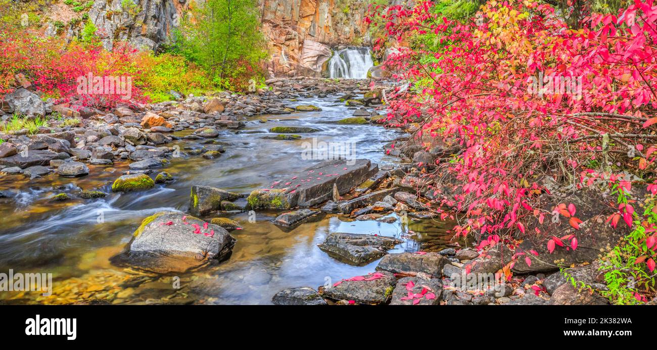 Panorama der Herbstfarben entlang des tenderfoot Creek in den kleinen Gürtelbergen in der Nähe von weißen Schwefelquellen, montana Stockfoto