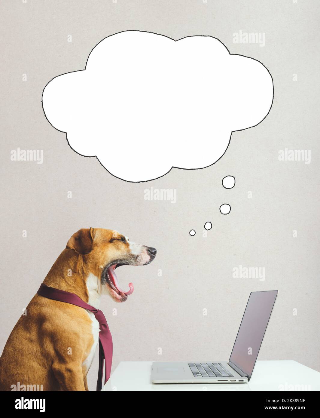 Gähnender Hund beim Träumen, in einer Krawatte vor einem Computer gähnend und träumend oder denkend, Sprechblase. Digitale Collage: Am Arbeitsplatz, ohne Ene Stockfoto