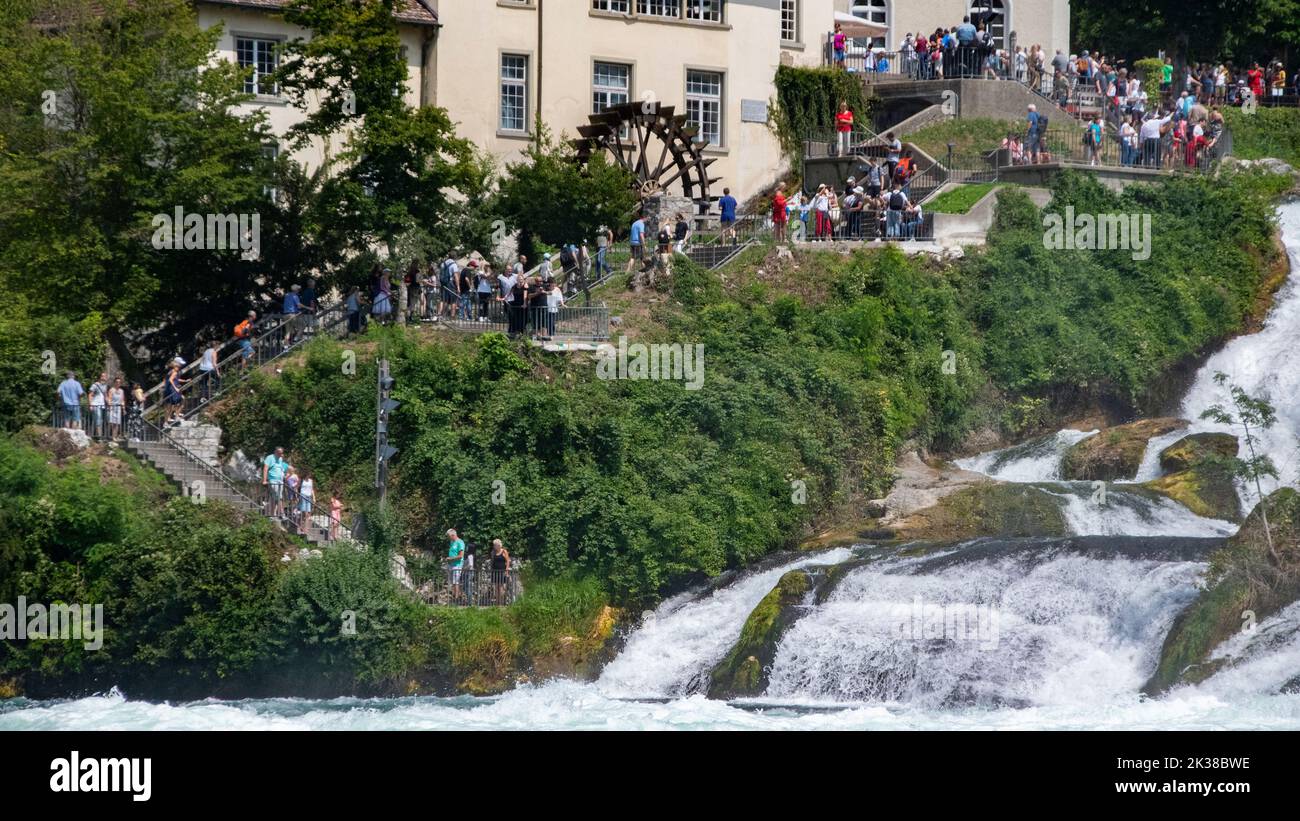 Schweiz der Rheinfall der größte Wasserfall der Schweiz und Europas. Stockfoto