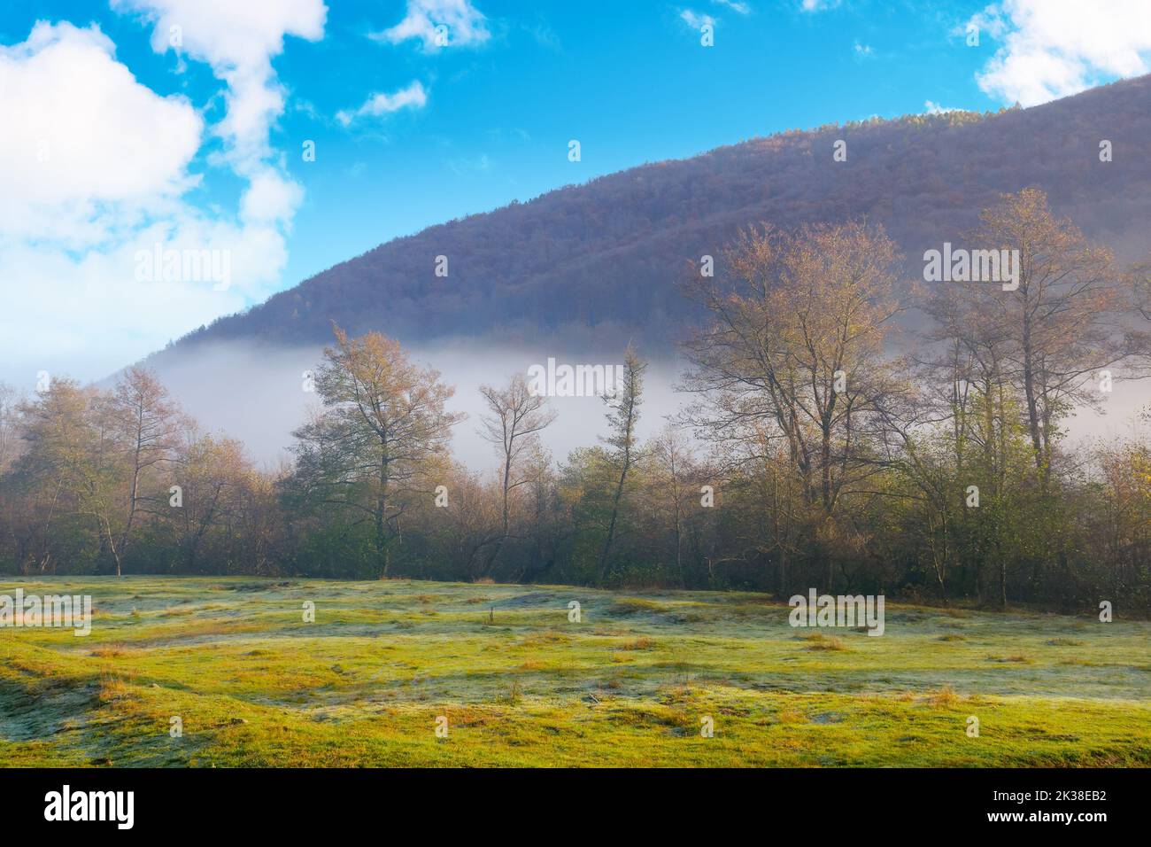 Landschaft auf einem nebligen Sonnenaufgang. Wunderbare Natur fallen Landschaft im Morgenlicht. Laubwald auf einer grünen Wiese im Nebel. Atemberaubende w Stockfoto