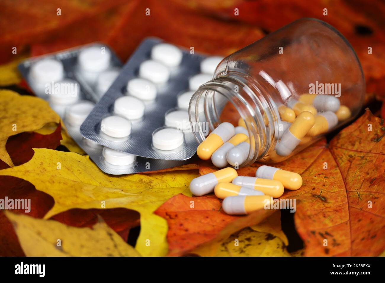 Pillen auf Herbst Ahornblätter, Flasche mit verstreuten Kapseln. Apotheke, Antidepressiva, Vitamine für die Immunität in der Grippesaison Stockfoto