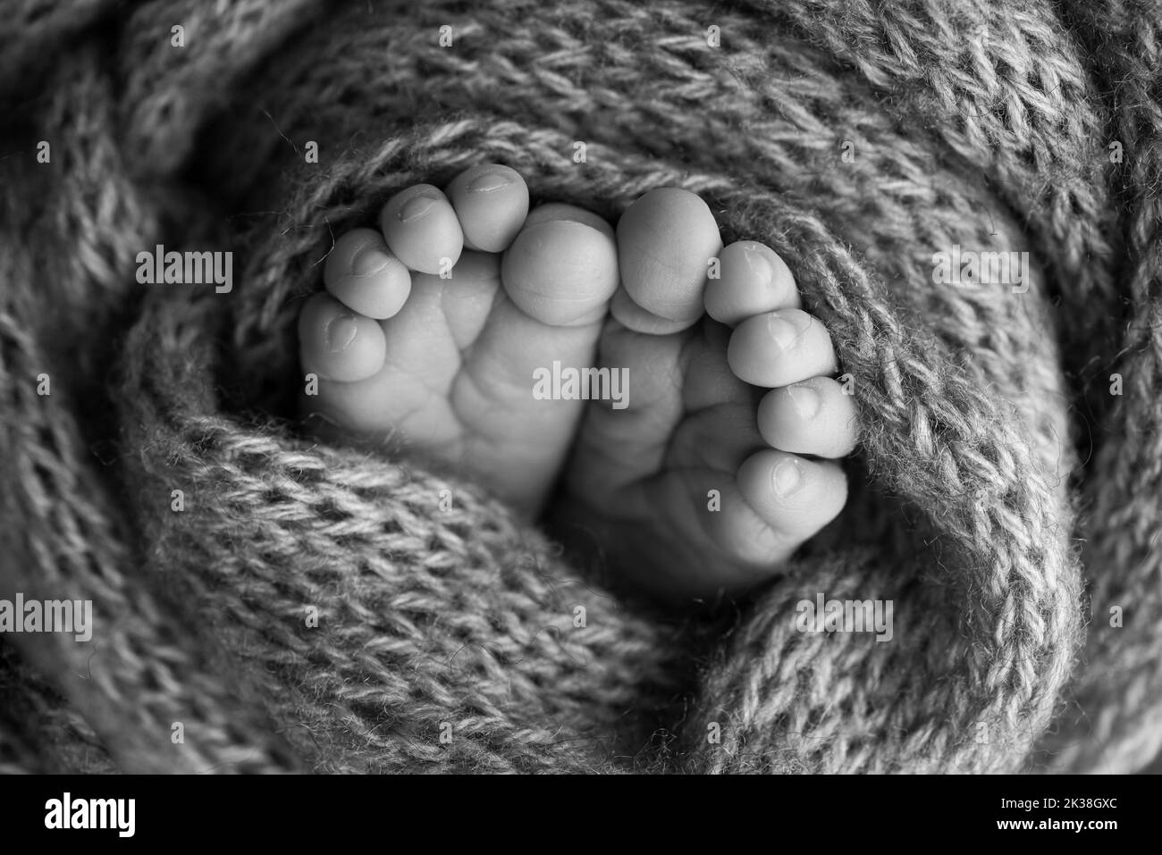 Weiche Füße eines Neugeborenen in einer Decke. Nahaufnahme von Zehen, Fersen und Füßen eines Babys. Stockfoto