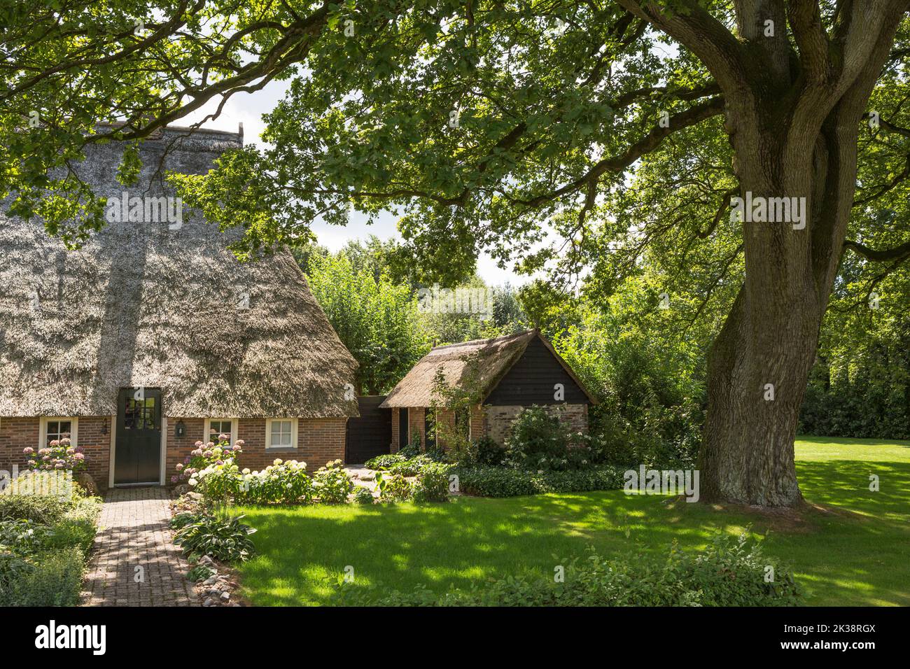 Traditioneller sächsischer Bauernhof mit reetgedeckten Rood Provinz Drenthe, Niederlande Stockfoto
