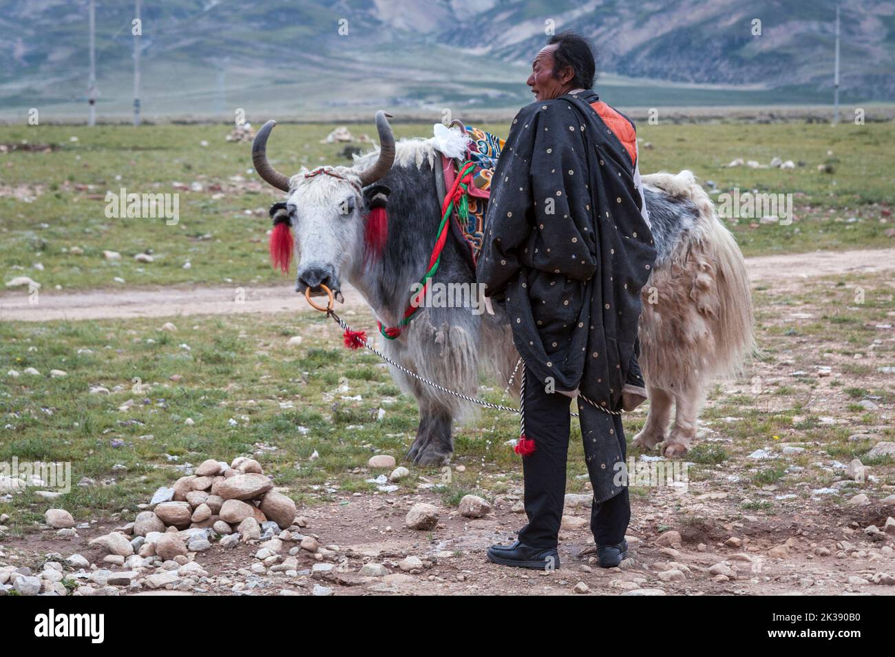 Tibetischer Pilger und ein Yak mit farbenfrohem und ethnischem Sattel an einer Aussichtsplattform östlich des Nyenchen Tanglha-Gebirges in Damxung, Lhasa, Tibet. Stockfoto