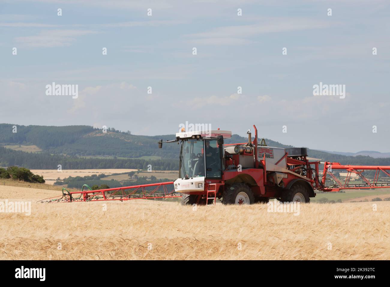 Ein Bateman 4000 Crop Sprayer, der in einem Gerstenfeld auf einer Farm in Aberdeenshire arbeitet Stockfoto