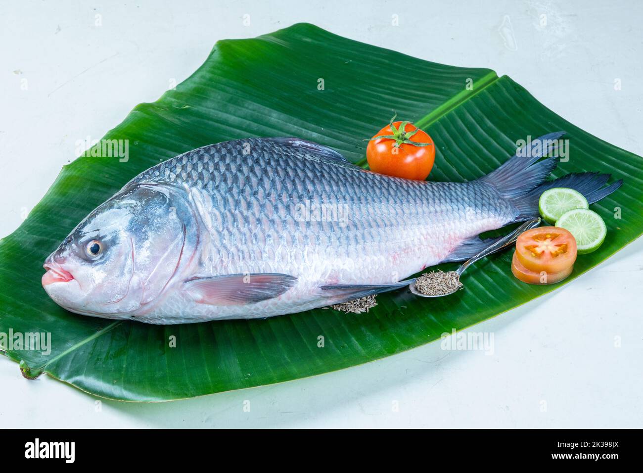 Catla Katla Fisch Bangladesh Süßwasserfisch auf Bananenblatt isoliert auf weißem Hintergrund Stockfoto