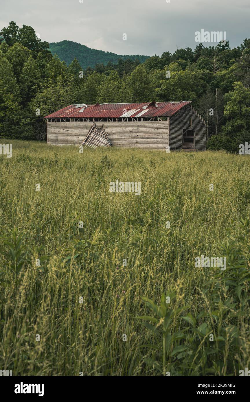 Blick auf eine Scheune von der Cades Cove Loop Road im Great Smoky Mountains National Park Stockfoto