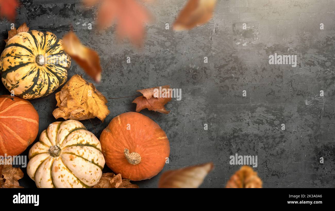 Ein saisonaler rustikaler Danksageherbst mit Kürbissen und falschenden Blättern. Layout der HerbstHalloween-Saison. Stockfoto