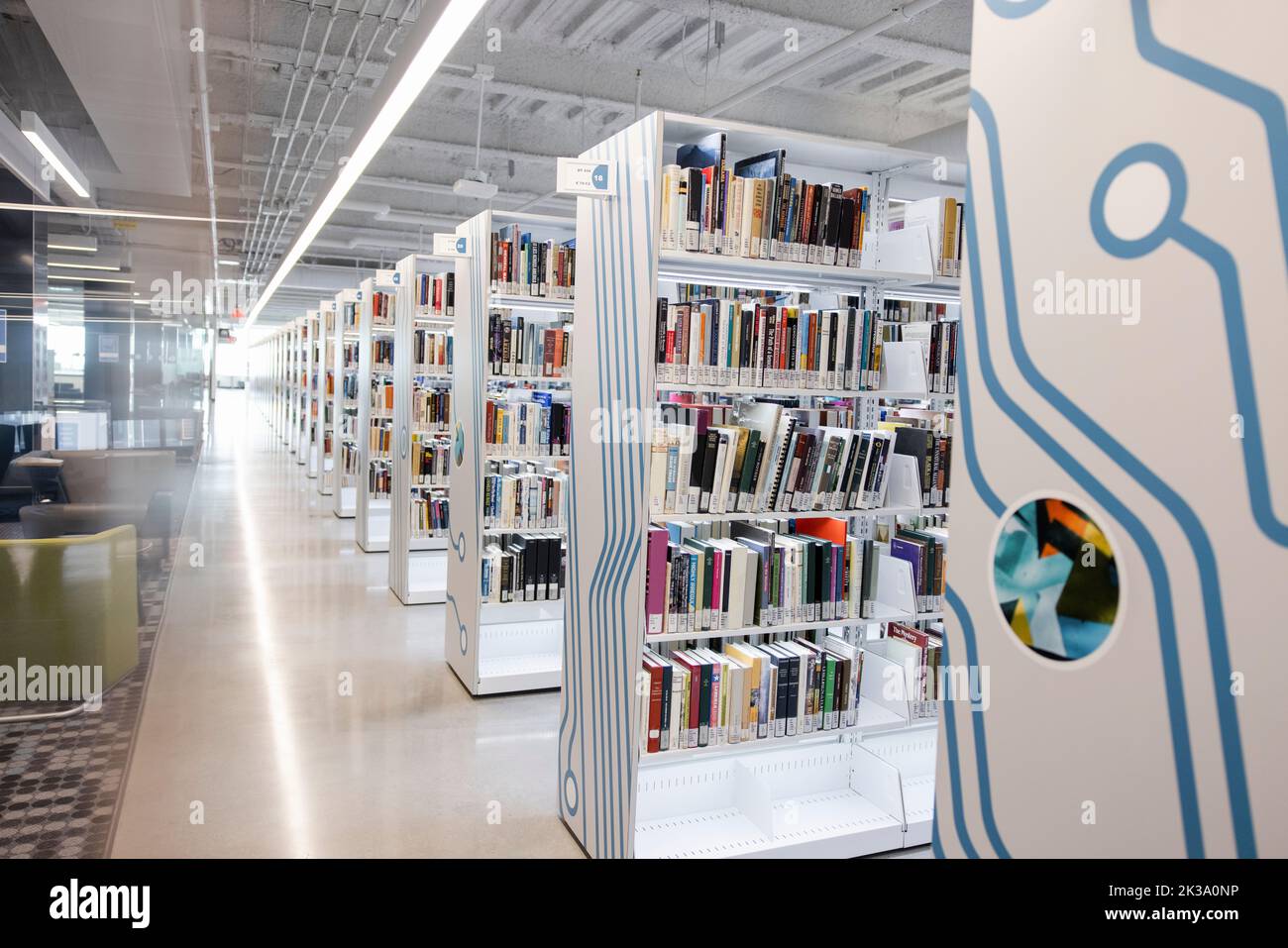 Bücher in den Regalen in der leeren Universitätsbibliothek Stockfoto