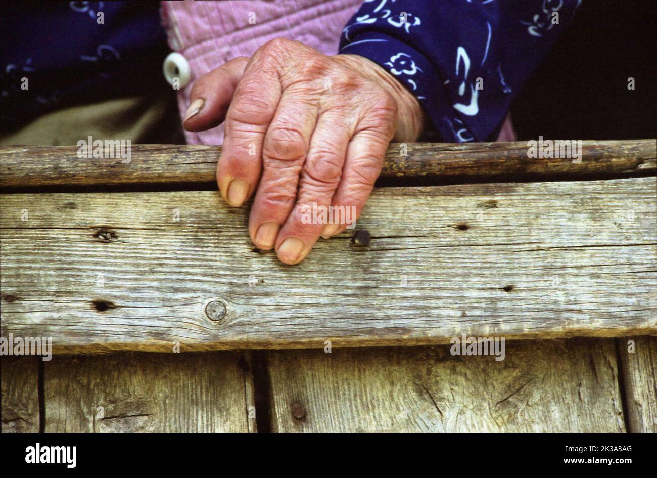 Hand einer älteren Frau, die im ländlichen Rumänien lebt Stockfoto