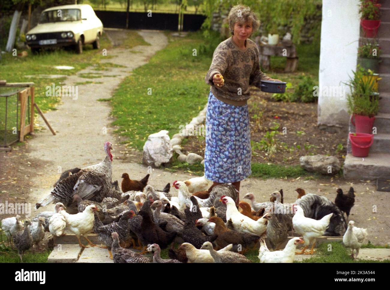 Alba County, Rumänien, ca. 1998. Frau, die das Geflügel in ihrem Hof füttert. Stockfoto