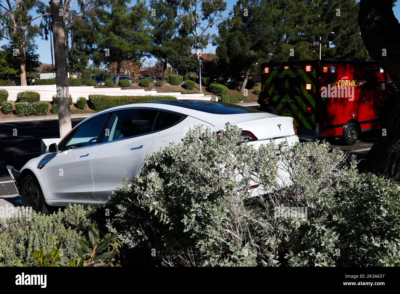 Westlake Village, Kalifornien, USA. 10.. November 2020. Ein Elektrofahrzeug der Marke Tesla Inc., Modell 3, ruht am Dienstag, den 10. November 2020, nach einem Unfall in einem einzigen Fahrzeug aus unbestätigten Gründen in Westlake Village, Kalifornien, gegen eine Stange. (Bild: © Patrick Fallon/ZUMA Press Wire) Stockfoto