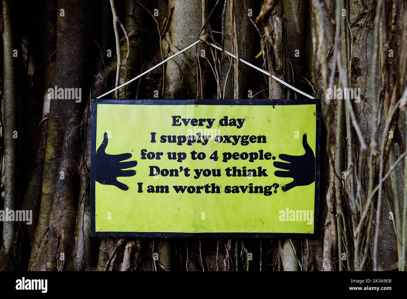 Ein Schild mit Zitaten zum Schutz der Umwelt, das an einem großen Baumstamm hängt Stockfoto