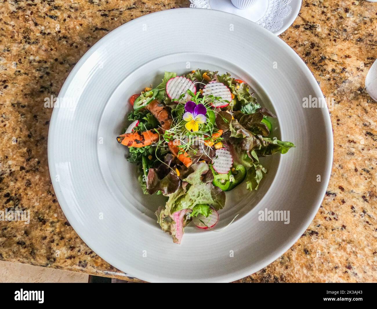 Gourmet-Salat in einem feinen Restaurant, La Fortuna, Costa Rica Stockfoto