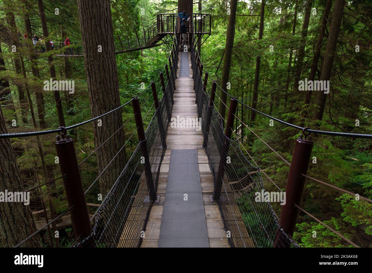 Hängebrücken im Capilano Suspension Bridge Park, Vancouver, British Columbia, Kanada. Stockfoto