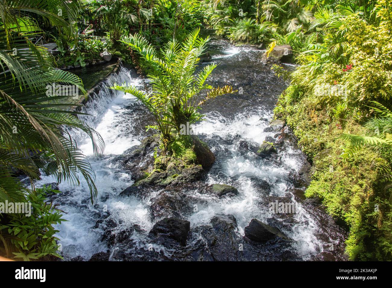 Genießen Sie einen heißen Fluss in Tabacon Hot Springs, La Fortuna, Costa Rica Stockfoto
