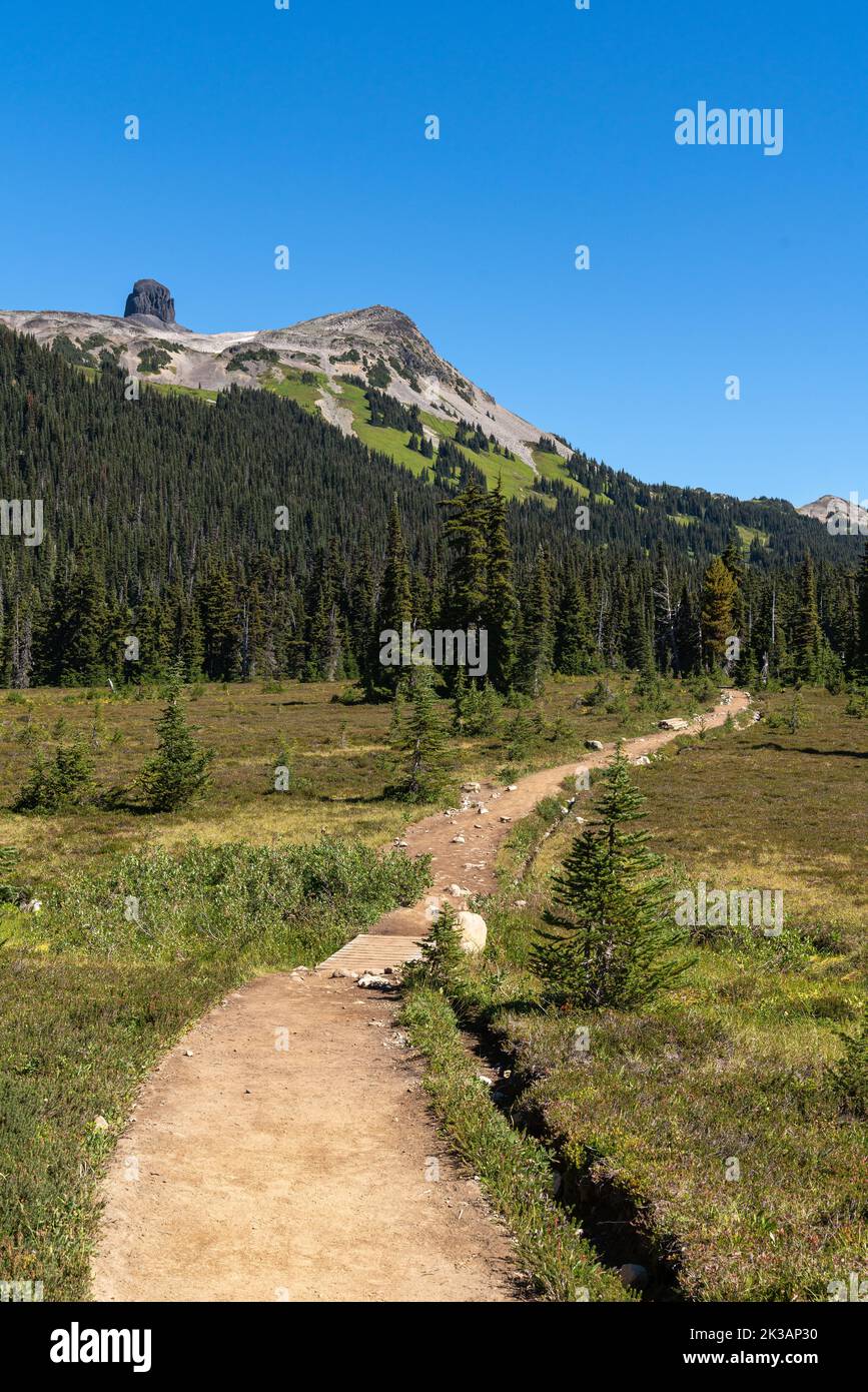 Der Weg nach Black Tusk schlängelt sich durch die malerischen Wiesen des Garibaldi Parks in British Columbia. Stockfoto