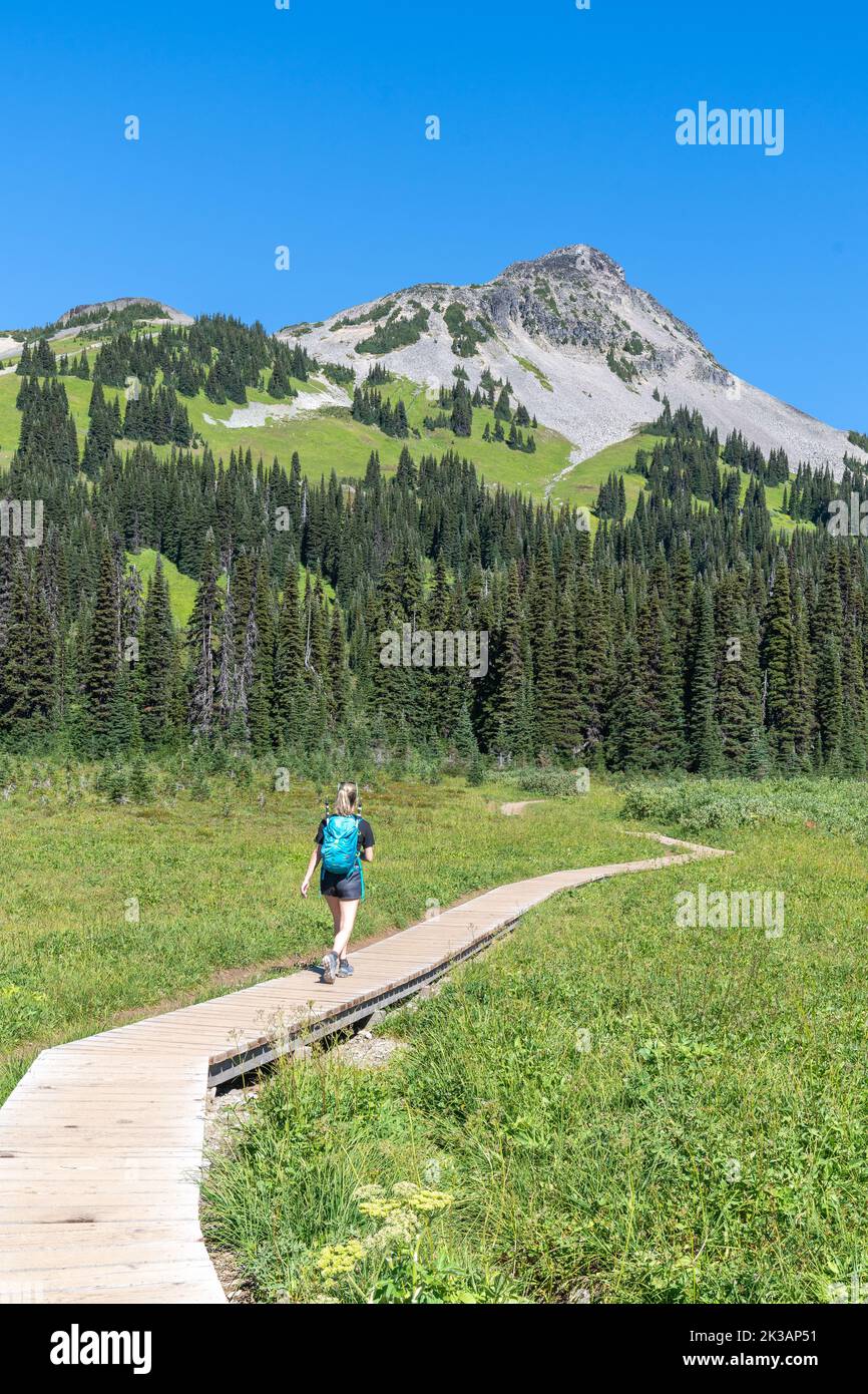 Eine Frau wandert an einem wunderschönen Sommertag auf einem Pfad im Garibaldi Provincial Park mit Black Tusk Mountain im Hintergrund. Stockfoto