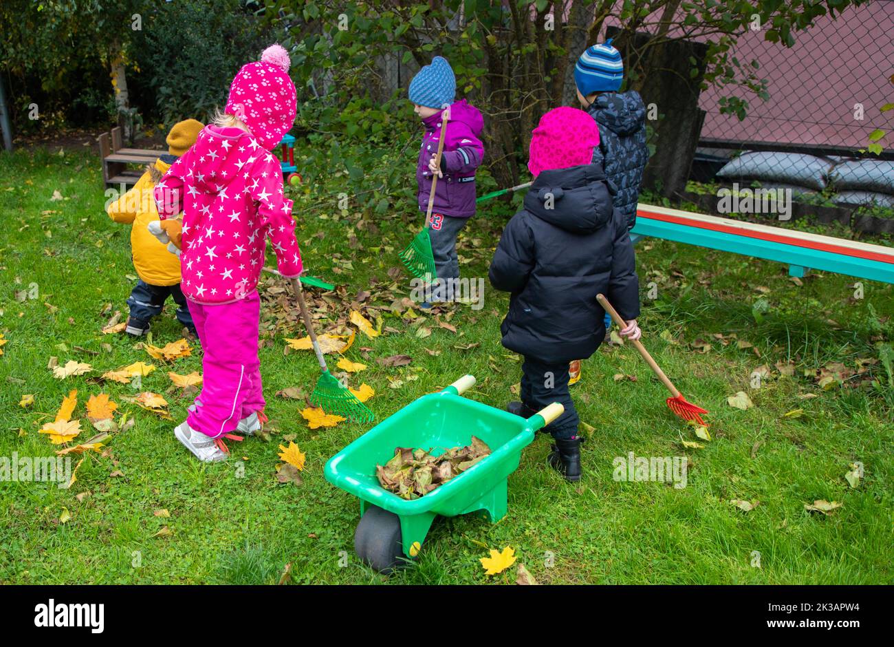 Die Kinder im Kindergarten sammeln gelb gefallene Blätter von Bäumen Stockfoto