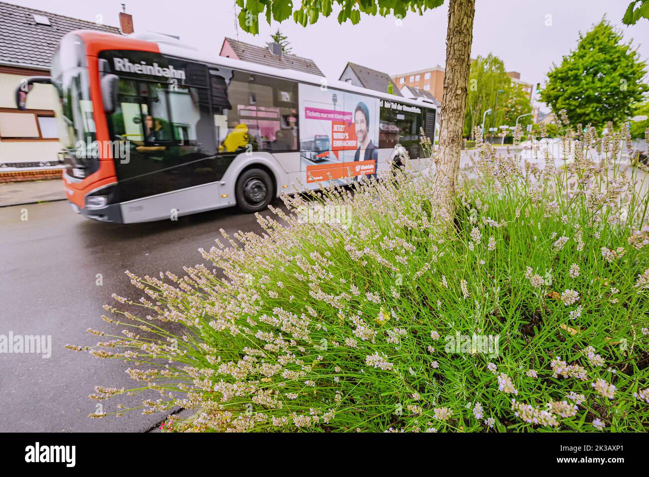21. Juli 2022, Düsseldorf, Deutschland: Rheinbahn Bus öffentlicher Verkehr im Vorort Stockfoto