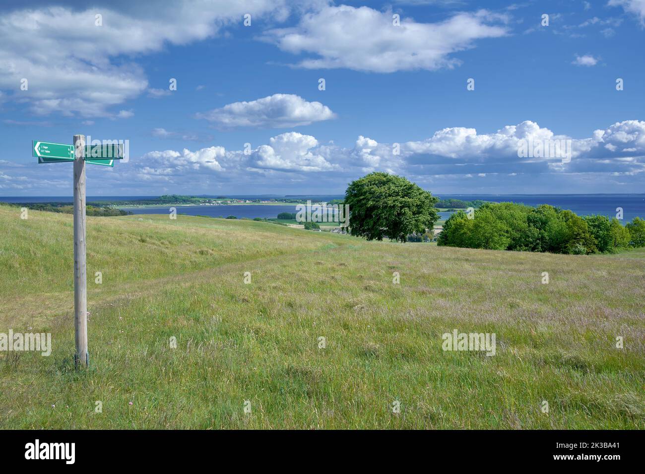 Wanderweg am Zicker Berg, Naturschutzgebiet Mönchgut in der Nähe von Groß Zicker, Rügen, ostsee, Deutschland Stockfoto