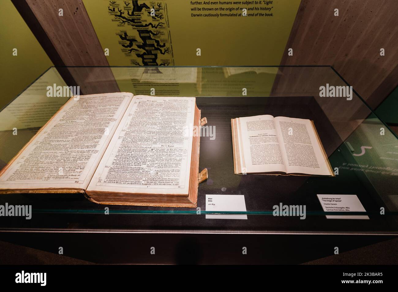 22. Juli 2022, Neanderthal Museum, Deutschland: Das offene Buch der Bibel und der Ursprung der Arten von Charles Darwin. Das Konzept der wissenschaftlichen und relig Stockfoto