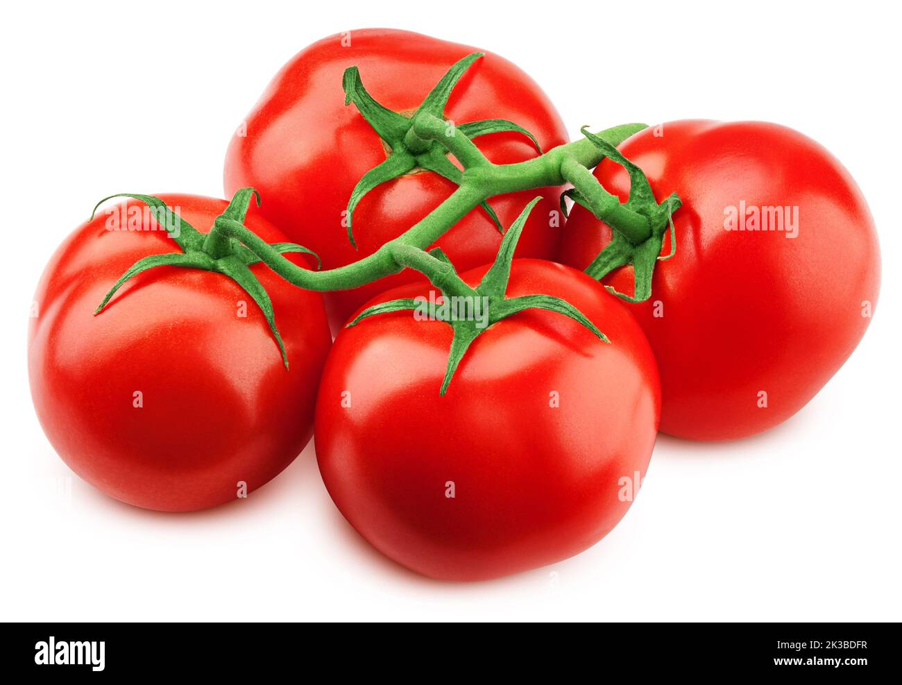 Tomaten am Zweig, auf weißem Hintergrund, Beschneidungspfade, volle Tiefenschärfe Stockfoto
