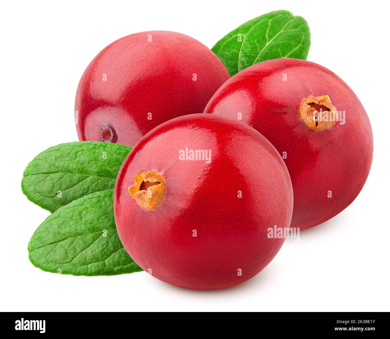 Cranberry auf weißem Hintergrund, Beschneidungspfade, volle Tiefenschärfe Stockfoto