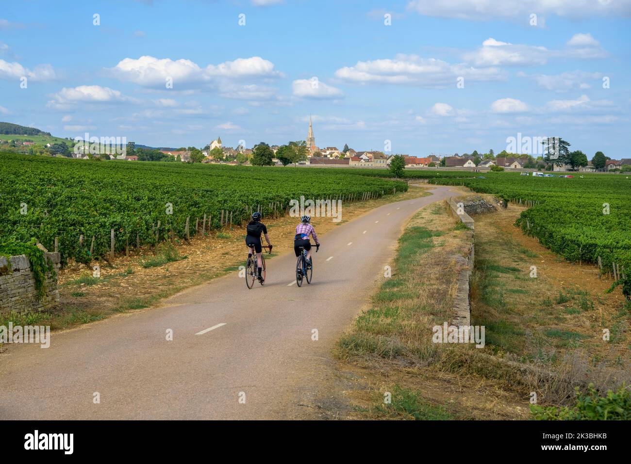 Zwei Radfahrer, die durch die Weinberge von Burgund fahren, nähern sich dem berühmten Weindorf Meursault, Frankreich. Stockfoto