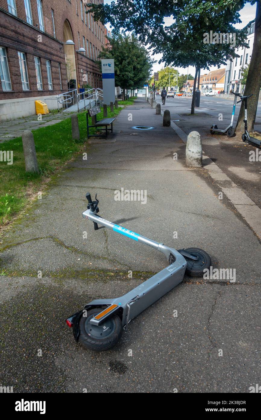 Disgarded e-Scooter, Bird Hire, Laying, on, Pavement, Trip Hazard, New Dover Road, Canterbury, Kent, England Stockfoto