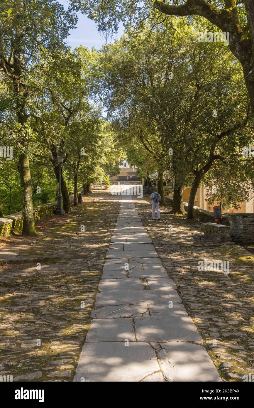 Von Bäumen gesäumter gepflasterter Weg führt zum Heiligtum unserer Lieben Frau von Montallegro, Rapallo Norditalien, ITA. September 2022 Stockfoto