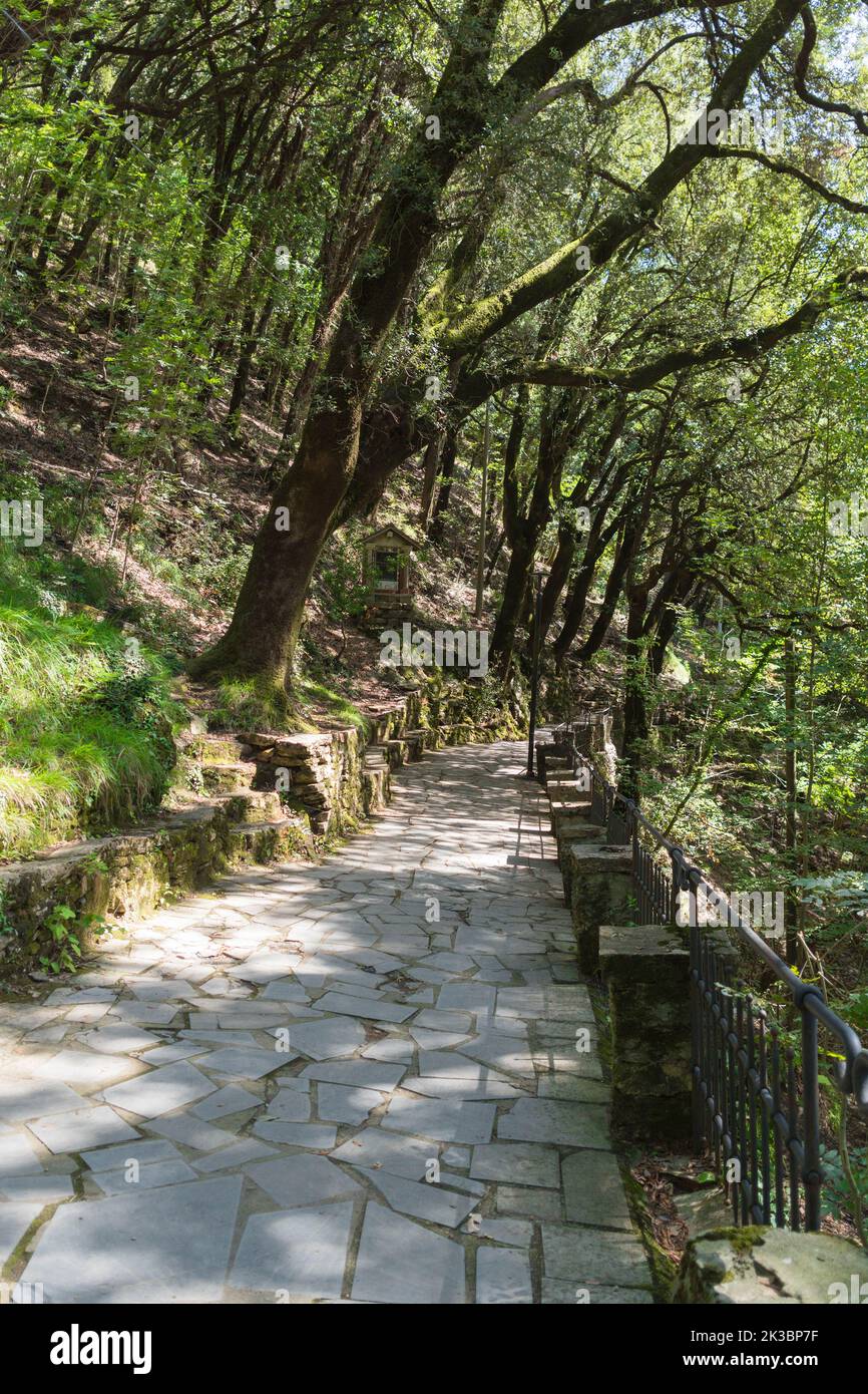 Der mosaiksteinartige Waldweg zum Heiligtum unserer Lieben Frau von Montallegro, Rapallo Norditalien ITA. September 2022 Stockfoto